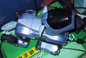 AIBO�ڳ��