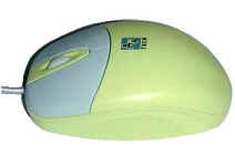 ˫���౦����